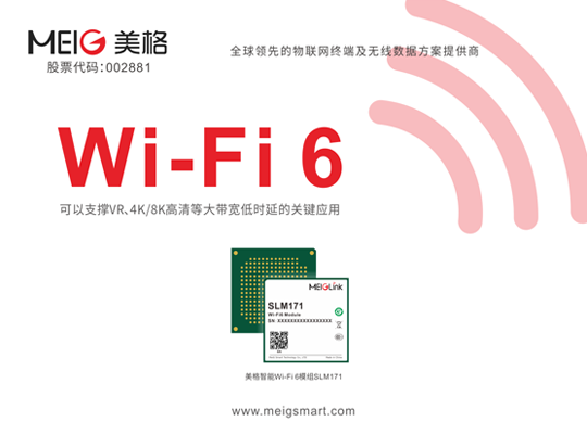 AG庄嫌驻(中国)集团