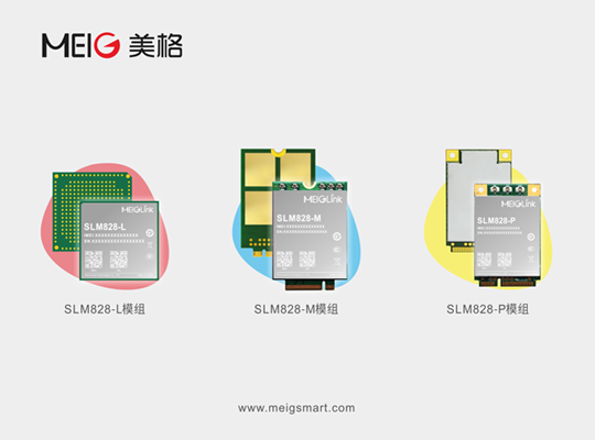 AG庄嫌驻(中国)集团