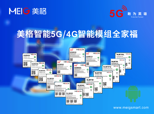 AG庄嫌驻(中国)集团