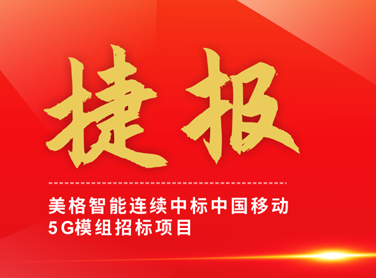 AG庄嫌驻(中国)集团
