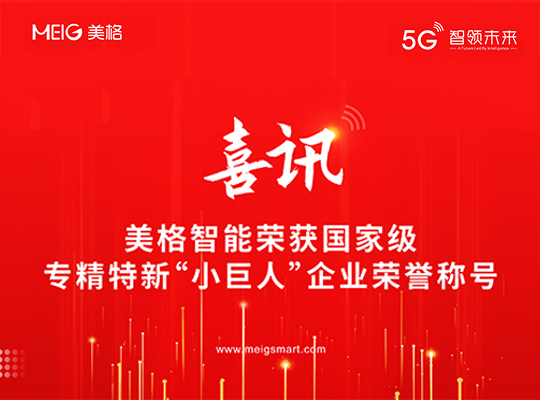 AG庄嫌驻(中国)集团