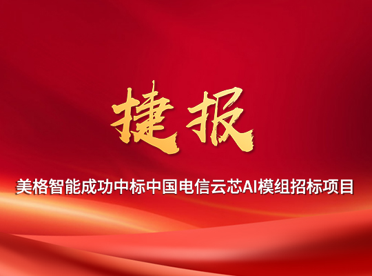 AG庄嫌驻(中国)集团